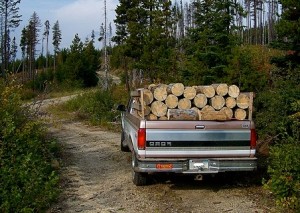 furt lemne