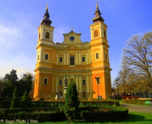 catedrala-romano-catolica-oradea