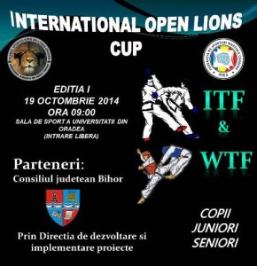poster final-lions cup
