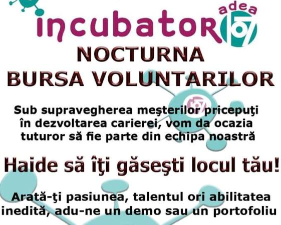 voluntari incubator