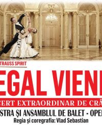 regal vienez, concert de crăciun, opera vox, turneu național